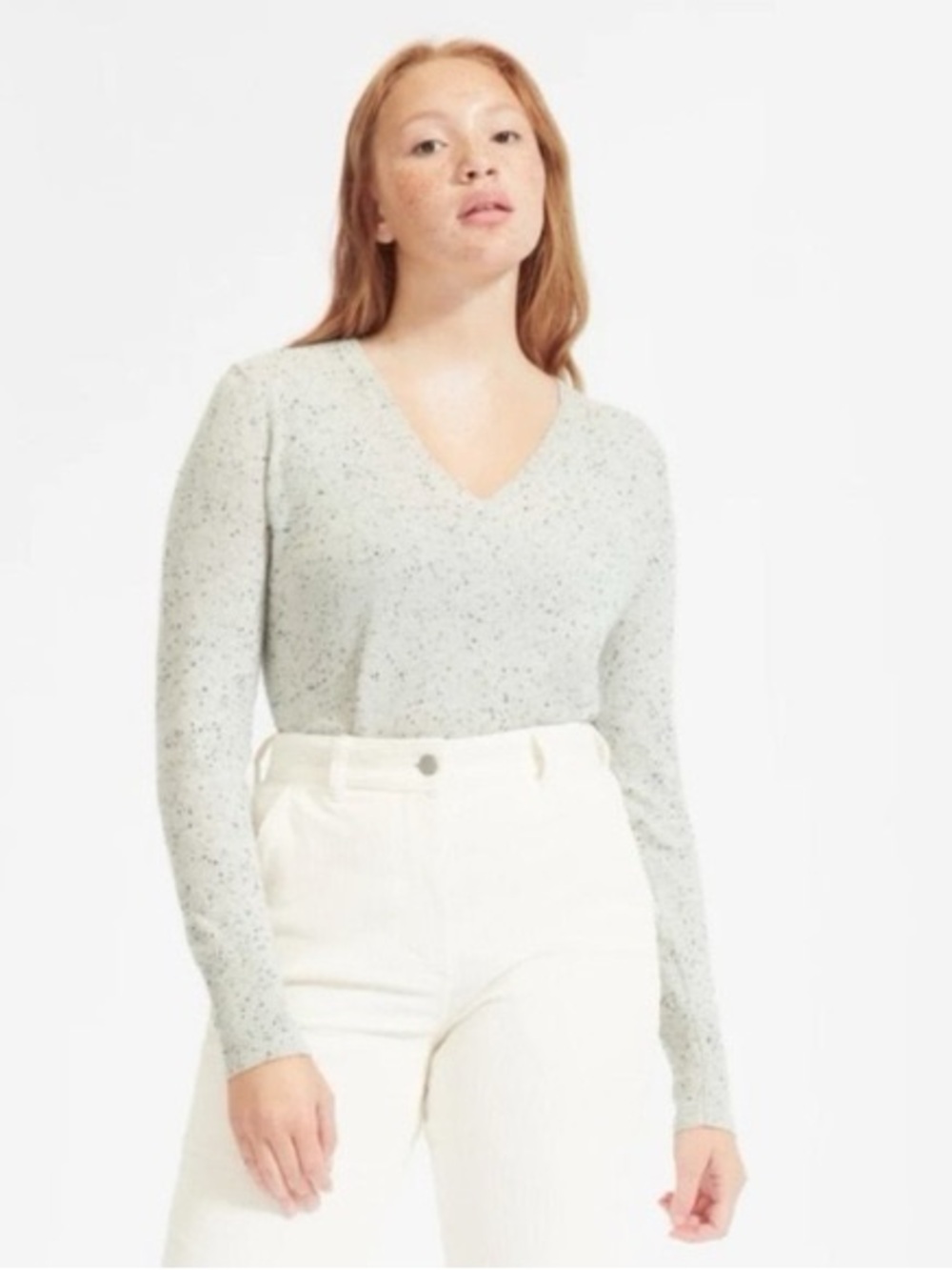 Everlane Neutral Speckled V-Neck Sweater in Oatmeal